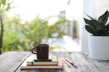 Borwn coffee cup and Hahnii mini snake plant pot and notebook