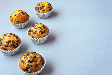 Five tasty chocolate chip muffins on a rough grey surface with copy space