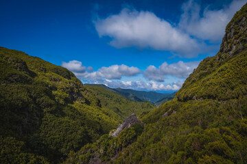 Fototapeta premium Hiking Levada trail 25 Fontes in Laurel forest - Path to the famous Twenty-Five Fountains in beautiful landscape scenery - Madeira Island, Portugal. October 2021.
