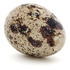 Quail egg isolated on white background cutout