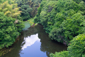 Fototapeta na wymiar High angle shot of green rain forest canopy along river in Japan.