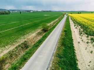 Beautiful aerial view of green raps field on a sunny morning