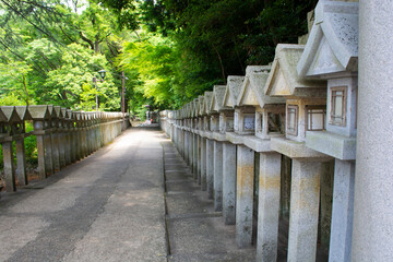 Stone lanterns lining entrance to temple - shrine in Japan.