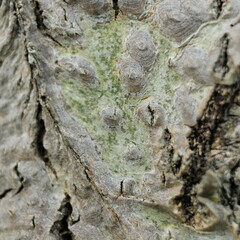 rozpadliny i pagórki © andsy