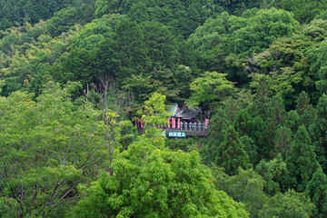 Fototapeta na wymiar Traditional temple - shrine with tree foliage in Japan.