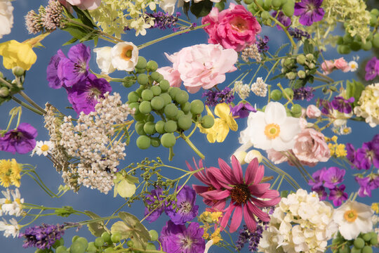 abstract arrangement of summer flowers of the garden on mirror