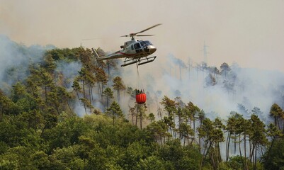 Un elicottero sta portando un bucket con acqua per spengere il fuoco nel bosco - obrazy, fototapety, plakaty
