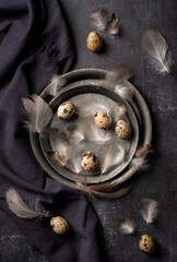 Photography of quail eggs and feathers