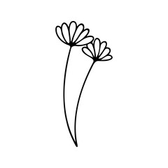 Hand drawn herbal, floral clipart. One line doodle vector