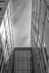 Top of office buildings in black and white
