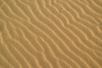 Fototapeta na wymiar Natural patterns formed in sand