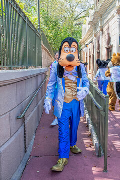 Goofy character at DIsney Magic Kingdom