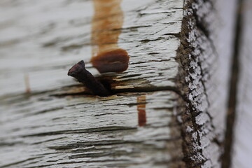 Obraz premium Texture - Paint, Wood and Rust