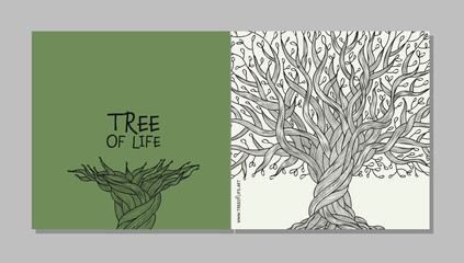 Vintage old olive tree with roots, concept art for your business. Cards, banner, web, promotional materials. Corporate identity template. Vector illustration