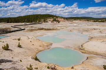 Sunny view of the landscape around Norris Geyser Basin in Yellowstone National Park