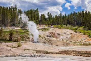 Sunny view of the landscape around Norris Geyser Basin in Yellowstone National Park