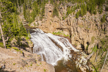 Sunny view of the landscape around Gibbon Falls in Yellowstone National Park
