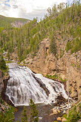 Sunny view of the landscape around Gibbon Falls in Yellowstone National Park