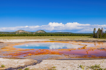 Sunny view of the beautiful Opal Pool