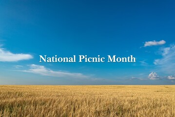 National Picnic Month - text, world holiday and International (copy space).