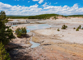 Sunny view of the landscape around Norris Geyser Basin in Yellowstone National Park