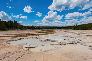 Sunny view of the landscape around Norris Geyser Basin in Yellowstone National Park