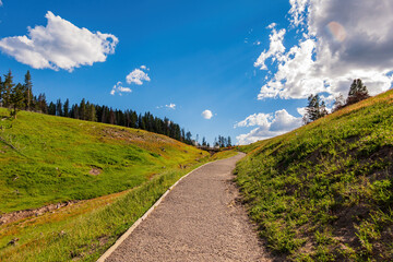 Sunny view of the landscape around Mud Volcano in Yellowstone National Park