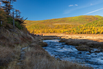 Autumn landscape. In the distance, a group of tourists is walking along a river valley among the mountains. Beautiful northern nature. Travel and hiking in the wild. Magadan region, Siberia, Russia.