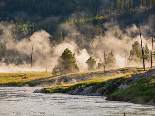 Sunrise landsacpe along the Firehole River with steam and forest