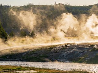 Sunrise landsacpe along the Firehole River with steam and forest