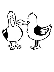 2 lustige Möwen Freunde 
