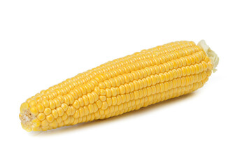 corn cob with yellow grains isolated on white background