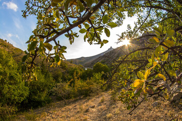 Mountain landscape