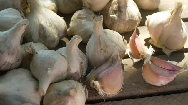 Eco garlic bulb on wooden table background. Healthy food. Ingredients for marinade. Spicy culinary ingredient, healthy eating or traditional medicine concept
