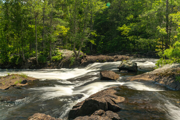 Rapids in the Forest Long Exposure