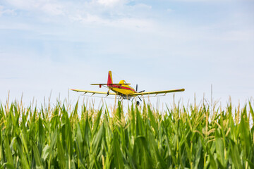 Crop duster airplane spraying chemicals on cornfield. Fungicide, pesticide and crop spraying...