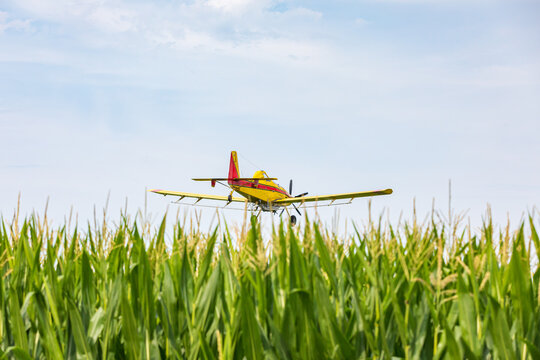 Crop duster airplane spraying chemicals on cornfield. Fungicide, pesticide and crop spraying concept.
