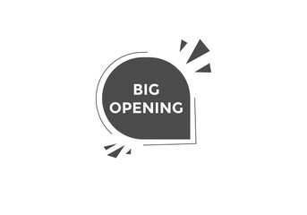 Big opening Colorful web banner. vector illustration. Big opening label sign template
