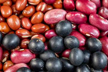 背景素材　美味しそうな乾燥豆