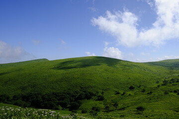 Fototapeta premium 高原