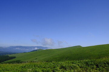 Fototapeta premium 高原