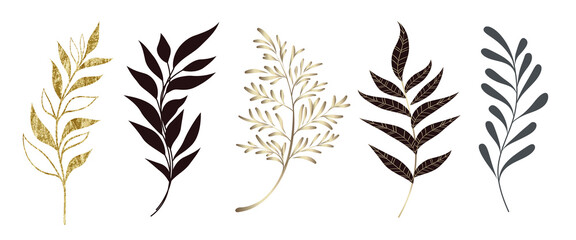 Set of leaves silhouette of beautiful plants, leaves, plant design. Vector illustration 20.