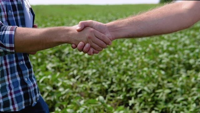 Handshake on soybean field. Two farmers standing outdoors in soy field in late summer shaking hands on deal
