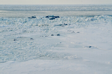 Most of the sea froze ...