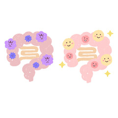 善玉菌がいる腸と悪玉菌がいる腸