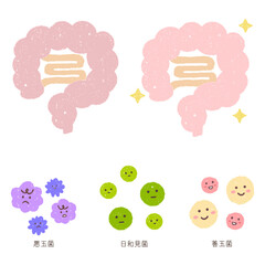 腸内と腸内細菌