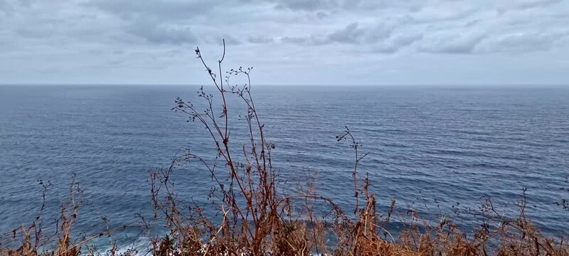 Playa del Anc&oacute;n, Tenerife