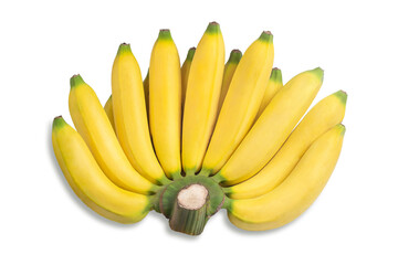 Gros Michel banana on white background. - obrazy, fototapety, plakaty