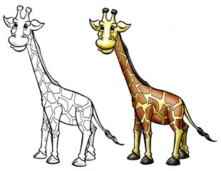 Giraffe cartoon color and line