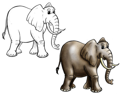 Elephant cartoon color and line